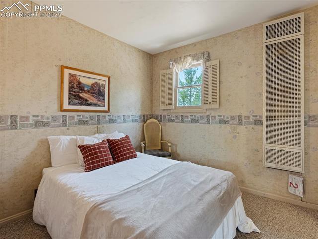 MLS Image for 103  Alpine  ,Woodland Park, Colorado