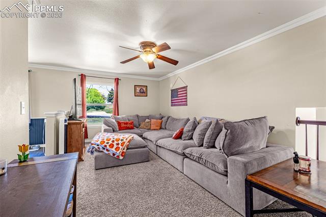 MLS Image for 7115  Grand Valley  ,Colorado Springs, Colorado
