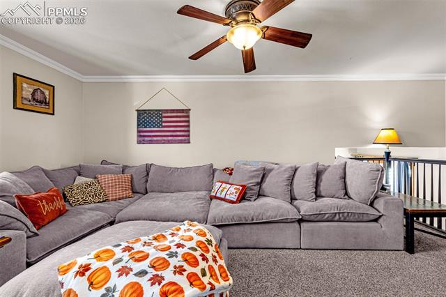 MLS Image for 7115  Grand Valley  ,Colorado Springs, Colorado