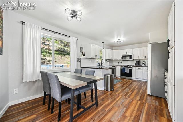 MLS Image for 143  Stonehenge  ,Florissant, Colorado