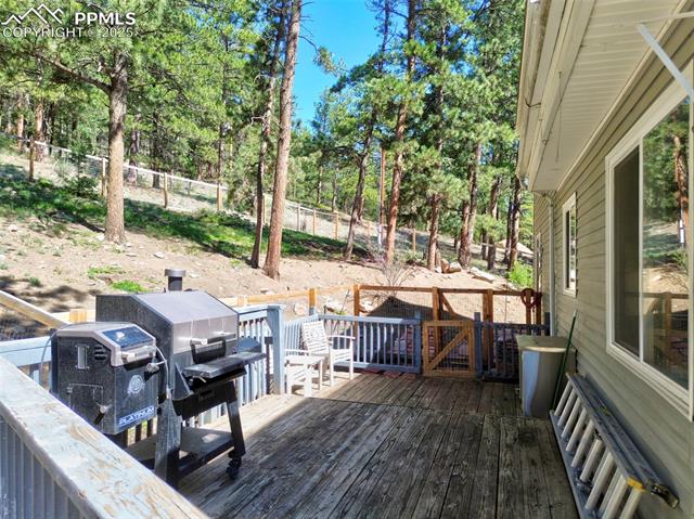 MLS Image for 143  Stonehenge  ,Florissant, Colorado