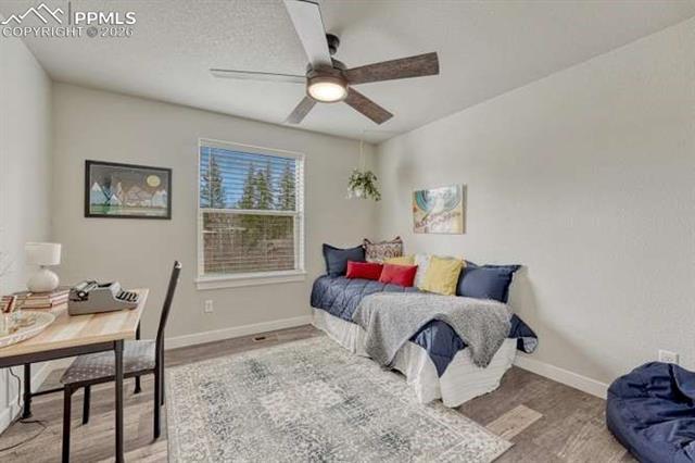 MLS Image for 110  Chester  ,Woodland Park, Colorado