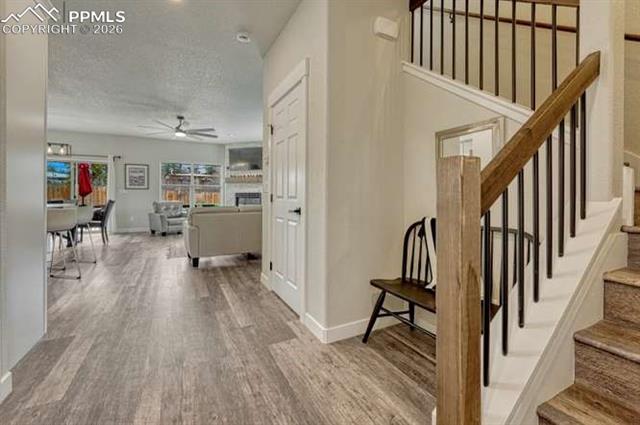 MLS Image for 110  Chester  ,Woodland Park, Colorado