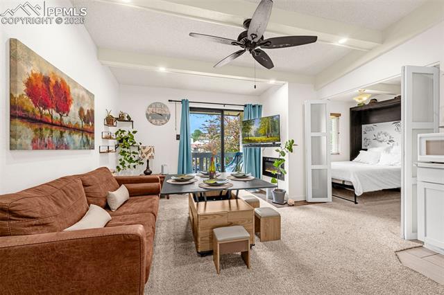 MLS Image for 1018  Fontmore  C ,Colorado Springs, Colorado