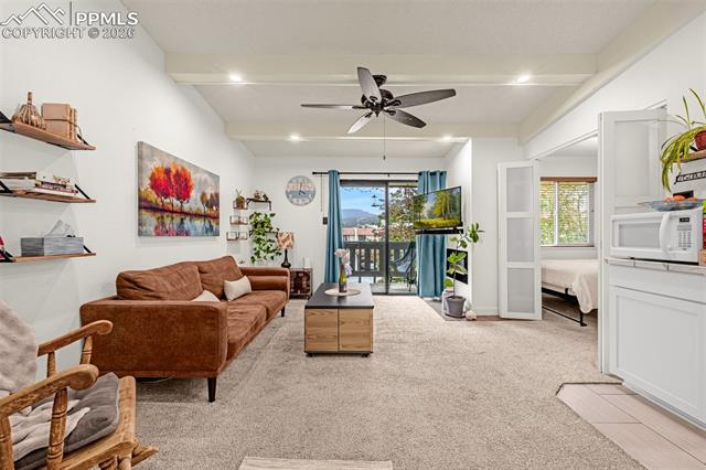 MLS Image for 1018  Fontmore  C ,Colorado Springs, Colorado