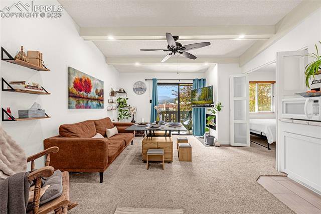 MLS Image for 1018  Fontmore  C ,Colorado Springs, Colorado