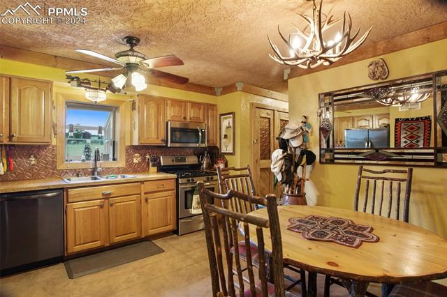 MLS Image for 12031  County Road 1  ,Florissant, Colorado