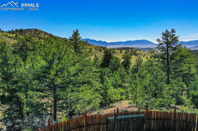 MLS Image for 12031  County Road 1  ,Florissant, Colorado