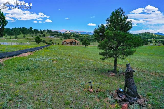 MLS Image for 12031  County Road 1  ,Florissant, Colorado