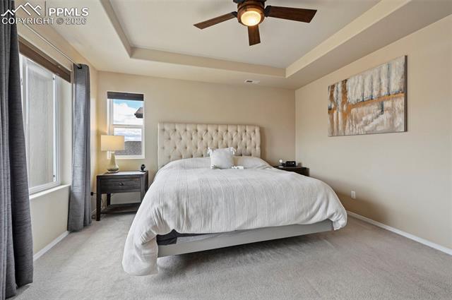 MLS Image for 8742  Windy Plains  ,Colorado Springs, Colorado
