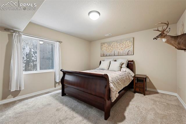 MLS Image for 8742  Windy Plains  ,Colorado Springs, Colorado