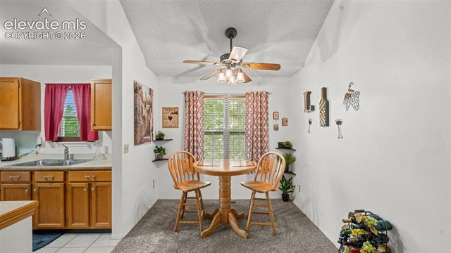 MLS Image for 2338  Troy   ,Colorado Springs, Colorado