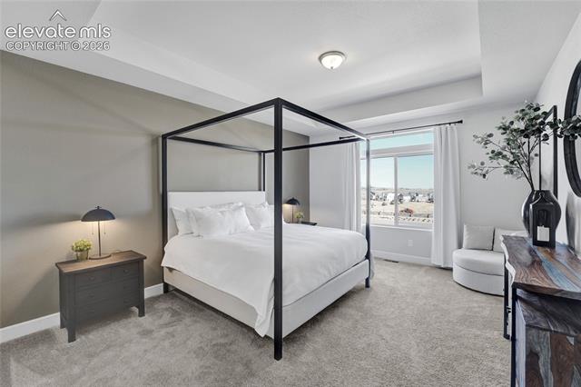 MLS Image for 5889  Carrick  ,Colorado Springs, Colorado