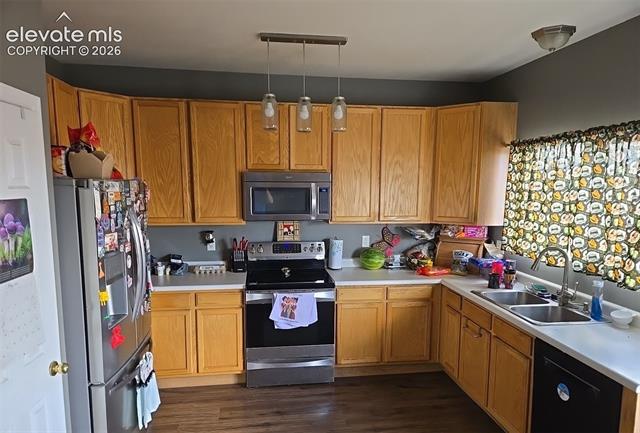MLS Image for 2304  Pinyon Jay  ,Colorado Springs, Colorado
