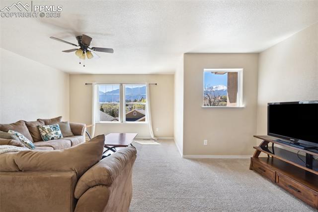 MLS Image for 1271  Ethereal  ,Colorado Springs, Colorado