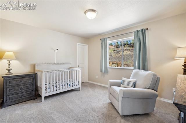 MLS Image for 1271  Ethereal  ,Colorado Springs, Colorado