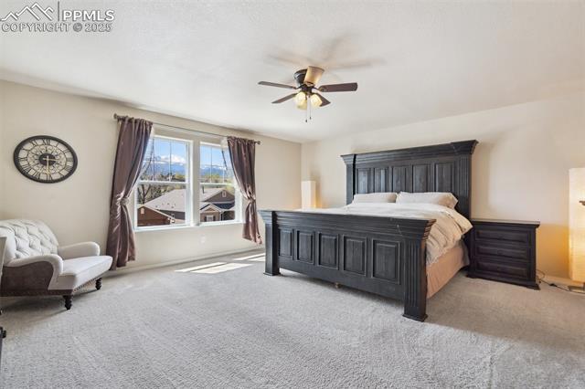 MLS Image for 1271  Ethereal  ,Colorado Springs, Colorado