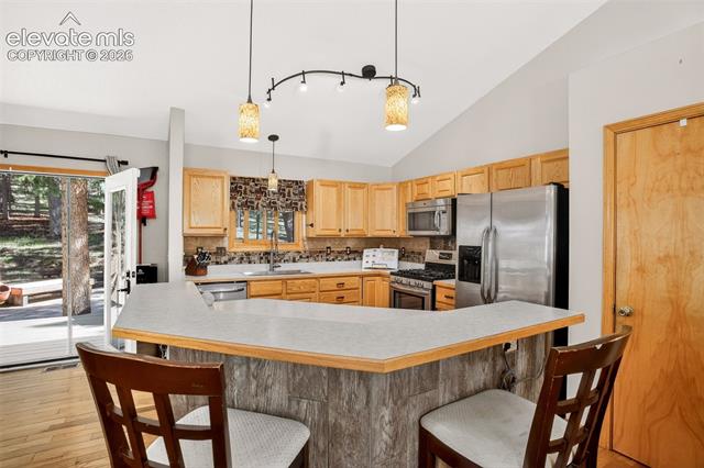 MLS Image for 2873  Sunnywood  ,Woodland Park, Colorado