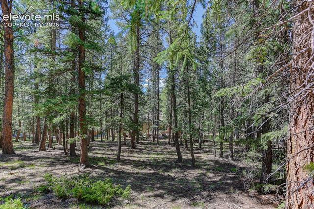 MLS Image for 2873  Sunnywood  ,Woodland Park, Colorado