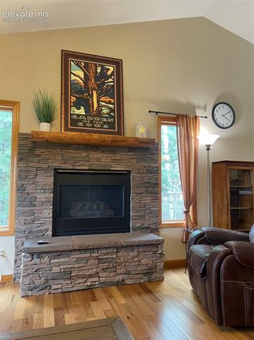 MLS Image for 2873  Sunnywood  ,Woodland Park, Colorado