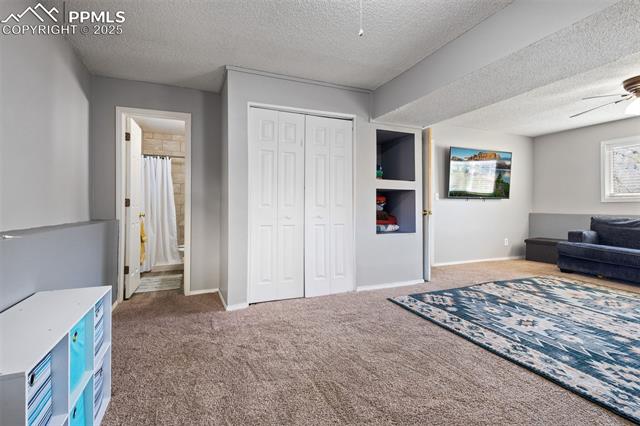 MLS Image for 3663  Trailbluff  ,Colorado Springs, Colorado