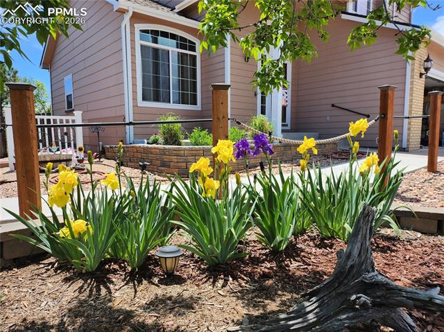 MLS Image for 11553  Allendale  ,Peyton, Colorado