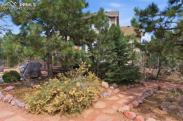 MLS Image for 11553  Allendale  ,Peyton, Colorado