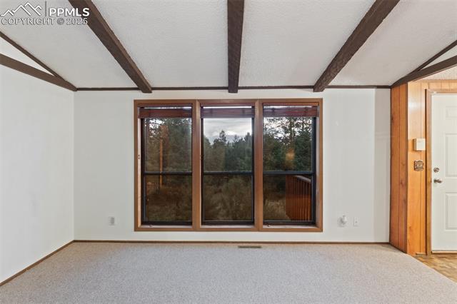 MLS Image for 289  Black Mesa  ,Florissant, Colorado