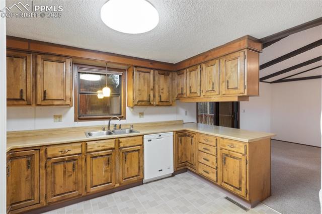 MLS Image for 289  Black Mesa  ,Florissant, Colorado