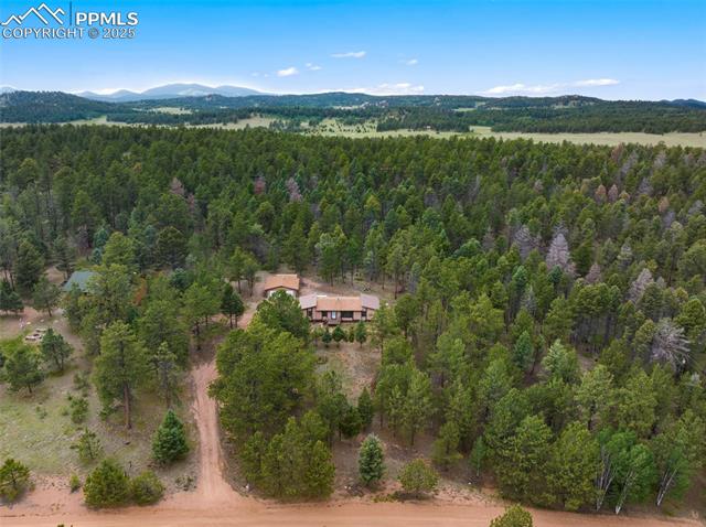 MLS Image for 289  Black Mesa  ,Florissant, Colorado