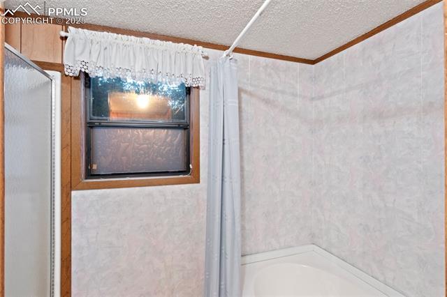 MLS Image for 289  Black Mesa  ,Florissant, Colorado