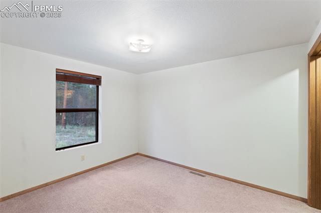 MLS Image for 289  Black Mesa  ,Florissant, Colorado