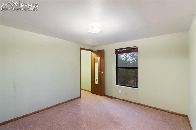 MLS Image for 289  Black Mesa  ,Florissant, Colorado