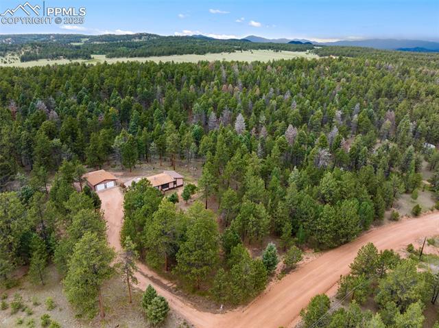 MLS Image for 289  Black Mesa  ,Florissant, Colorado