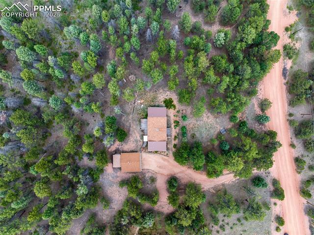 MLS Image for 289  Black Mesa  ,Florissant, Colorado