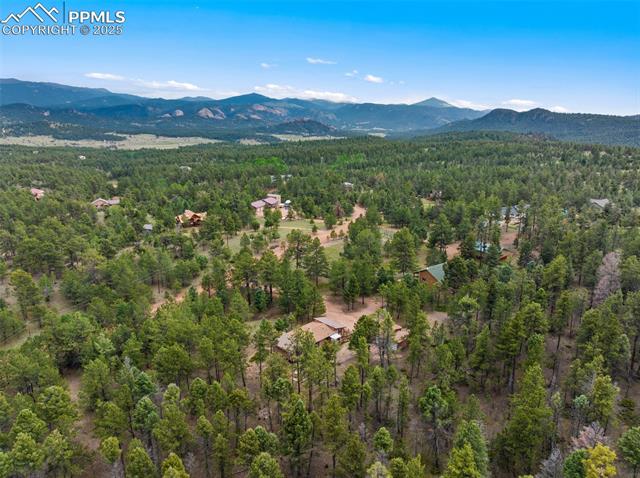 MLS Image for 289  Black Mesa  ,Florissant, Colorado