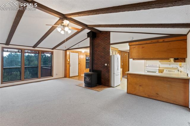 MLS Image for 289  Black Mesa  ,Florissant, Colorado