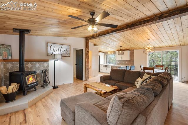 MLS Image for 944  County Road 512  ,Divide, Colorado