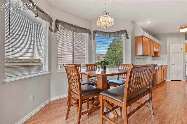 MLS Image for 1355  Almagre Peak  ,Colorado Springs, Colorado