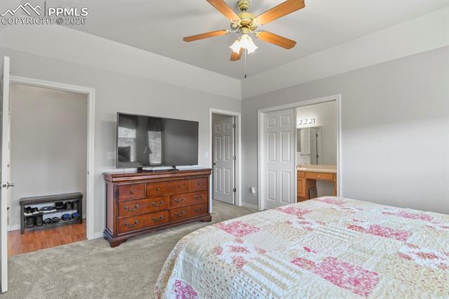 MLS Image for 1355  Almagre Peak  ,Colorado Springs, Colorado