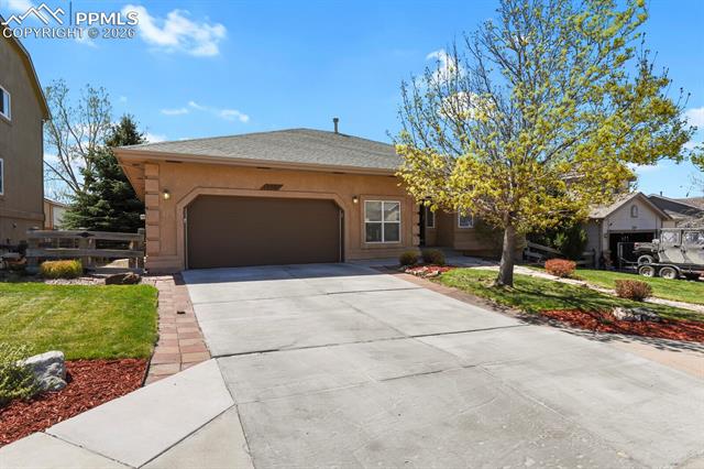MLS Image for 1355  Almagre Peak  ,Colorado Springs, Colorado