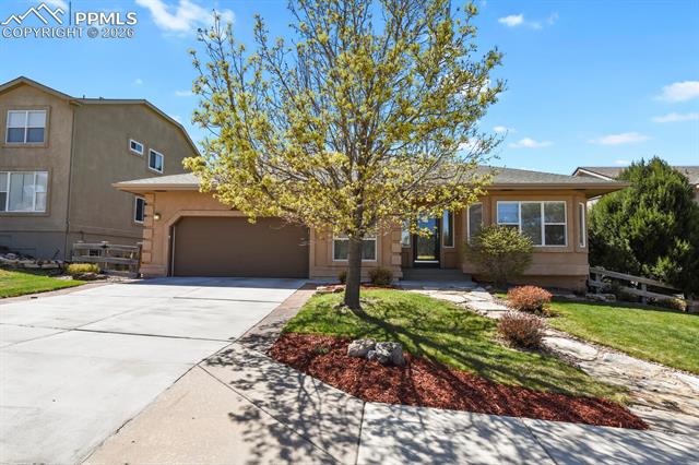 MLS Image for 1355  Almagre Peak  ,Colorado Springs, Colorado