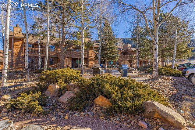 MLS Image for 401  Forest Edge  A-11 ,Woodland Park, Colorado