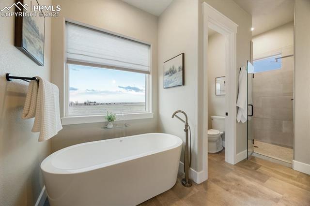 MLS Image for 2265  Terri Lee  ,Peyton, Colorado