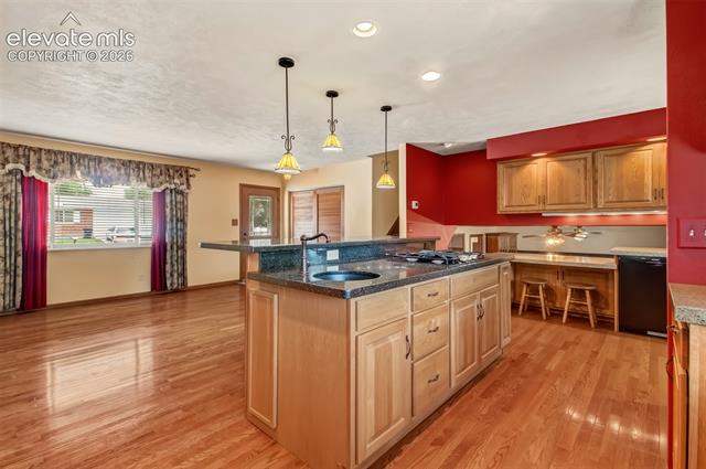 MLS Image for 1250  Osgood  ,Colorado Springs, Colorado