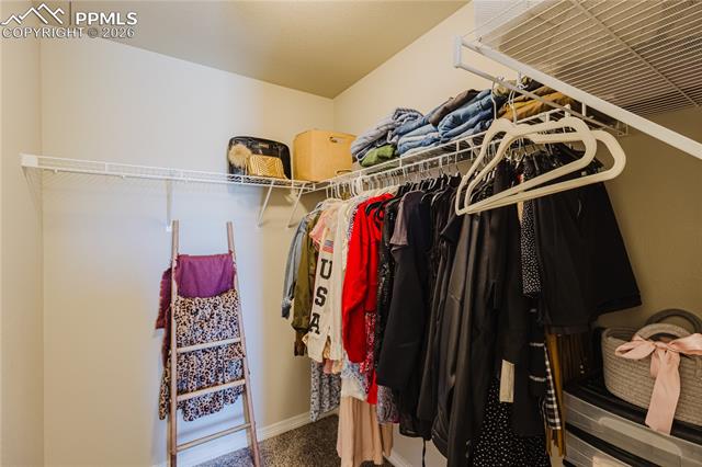 MLS Image for 6149  Mumford  ,Colorado Springs, Colorado