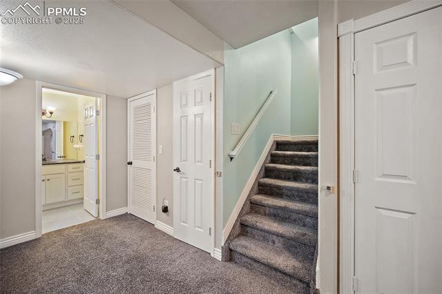 MLS Image for 4833  Hawk Meadow  ,Colorado Springs, Colorado
