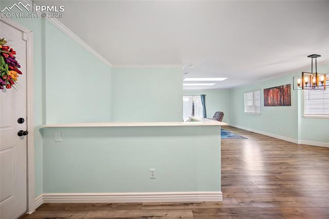 MLS Image for 4833  Hawk Meadow  ,Colorado Springs, Colorado