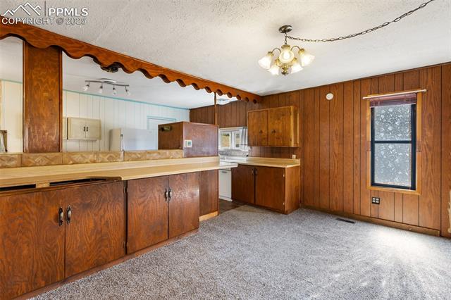 MLS Image for 272  Spring Valley  ,Florissant, Colorado