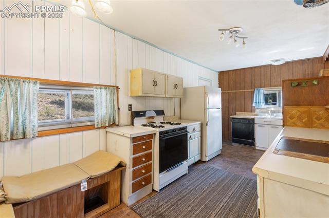 MLS Image for 272  Spring Valley  ,Florissant, Colorado